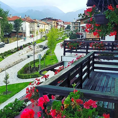 Dzhangal 3*